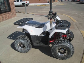 TaoTao Raptor 120cc  Kids ATV